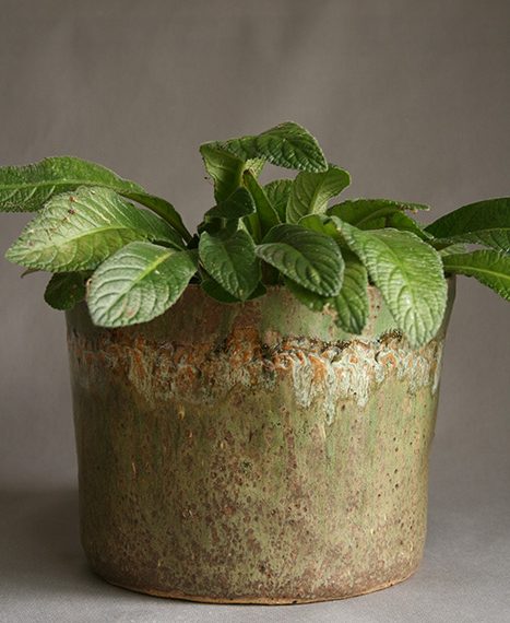 Large-Cover-Pot-green